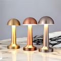 European Style Minimalist Cordless Lamp