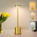 Sleek and Elegant Table Lamp