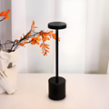 Sleek and Elegant Table Lamp
