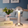 European Style Minimalist Cordless Lamp