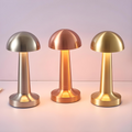 European Style Minimalist Cordless Lamp
