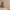 Kandil Minimalist-style Cordless Lamp